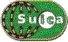 Suica